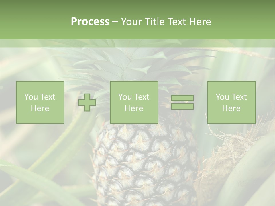 Asia Outdoor Raw PowerPoint Template