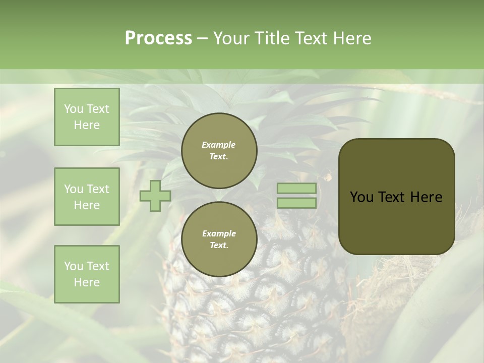 Asia Outdoor Raw PowerPoint Template