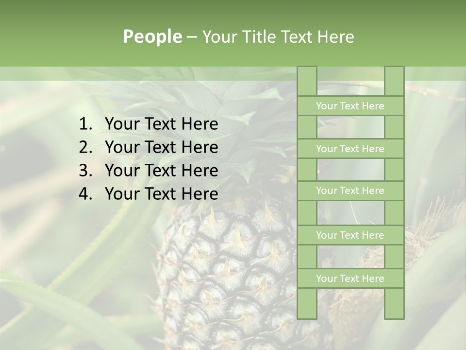 Asia Outdoor Raw PowerPoint Template