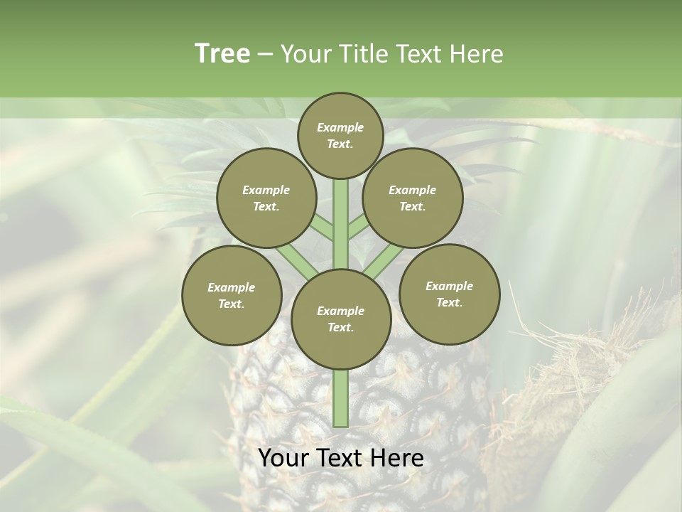 Asia Outdoor Raw PowerPoint Template