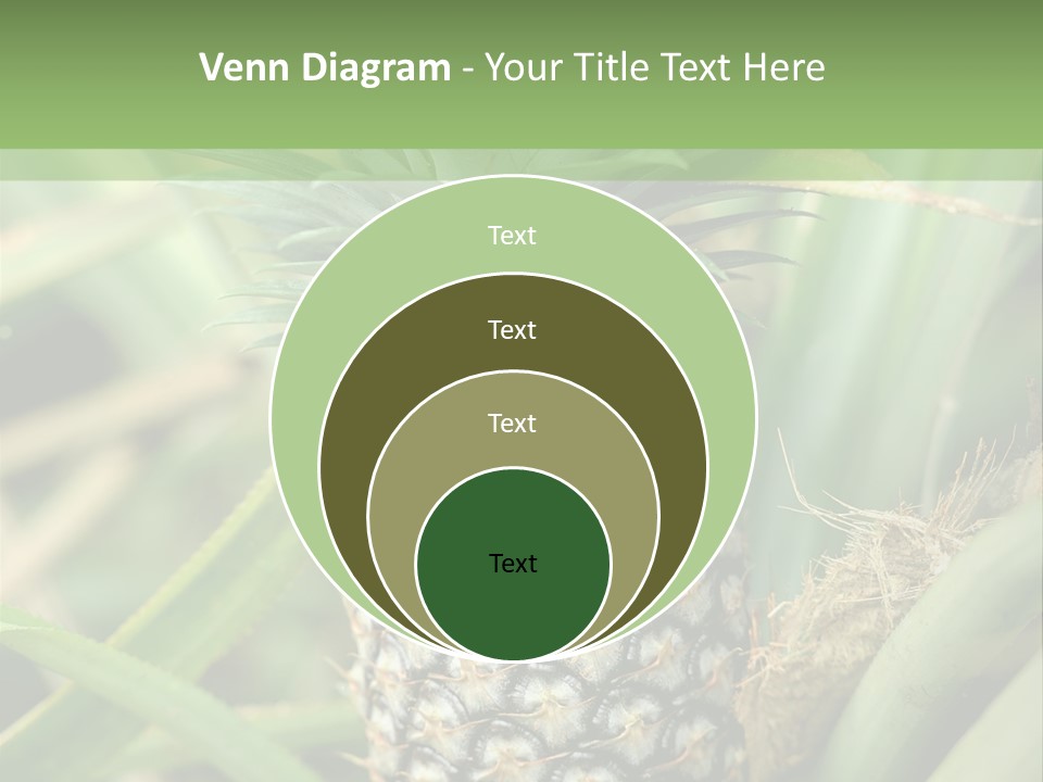 Asia Outdoor Raw PowerPoint Template