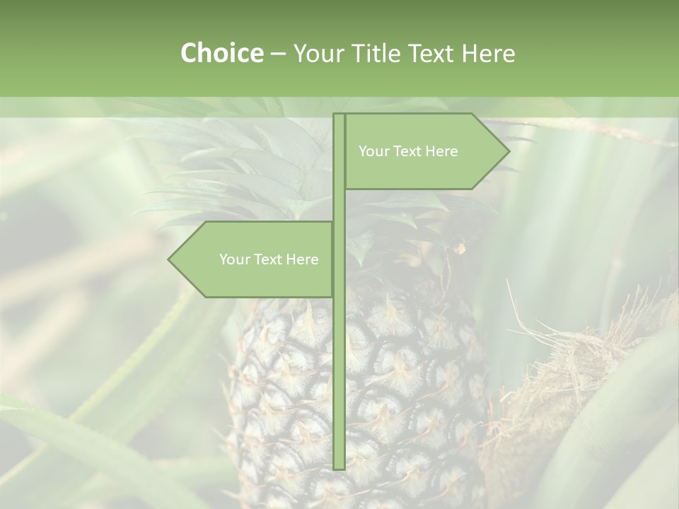 Asia Outdoor Raw PowerPoint Template