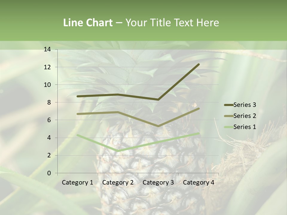 Asia Outdoor Raw PowerPoint Template
