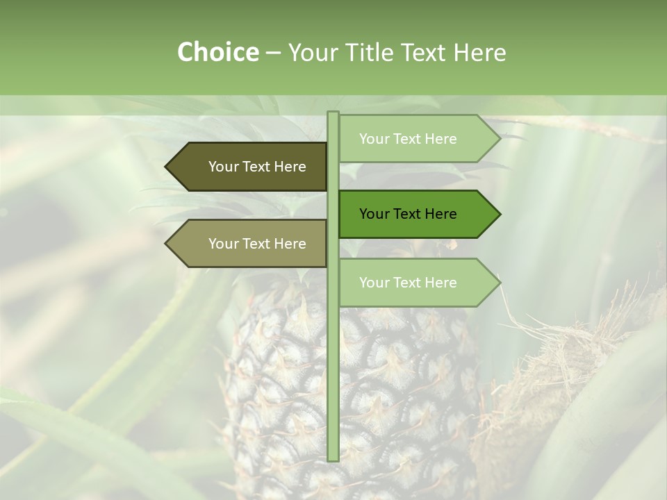 Asia Outdoor Raw PowerPoint Template