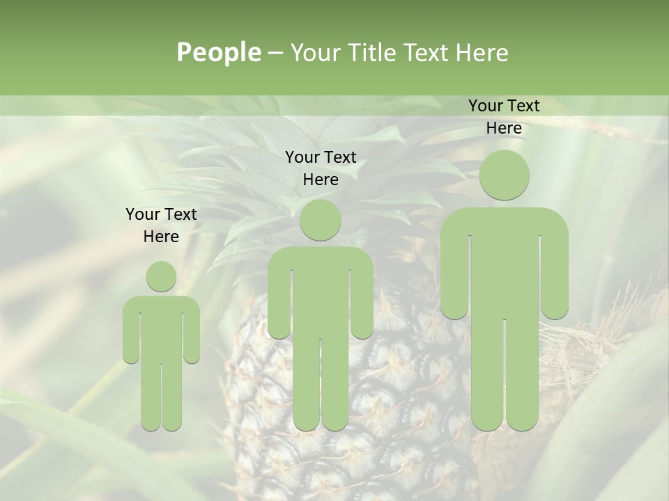 Asia Outdoor Raw PowerPoint Template