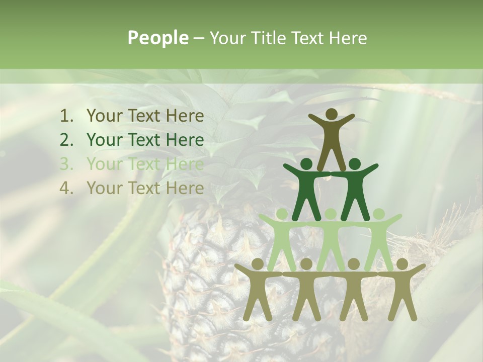 Asia Outdoor Raw PowerPoint Template