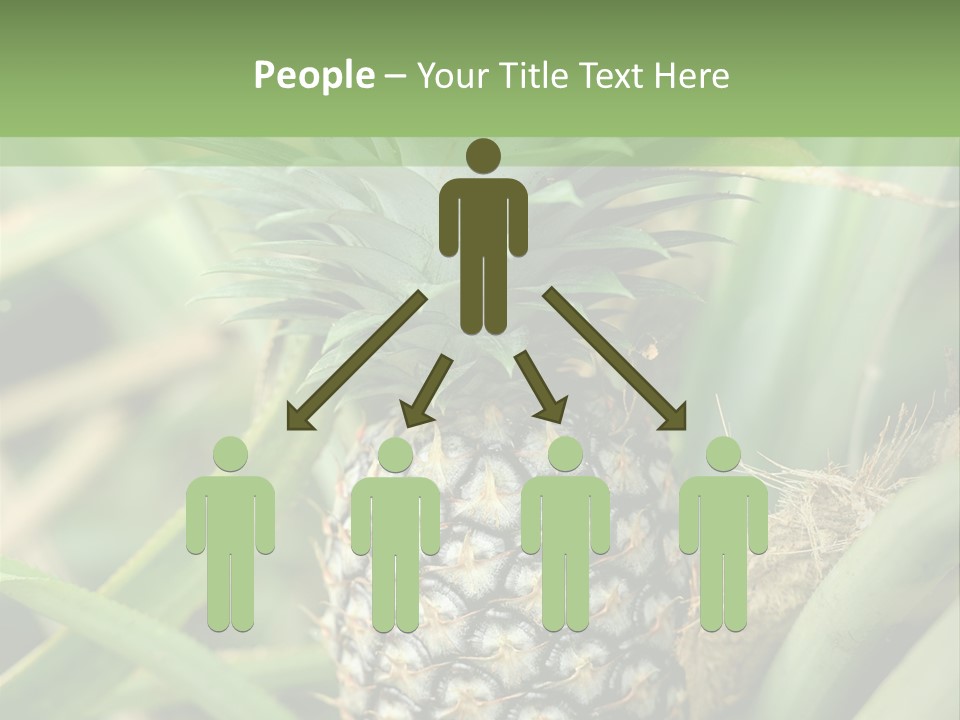 Asia Outdoor Raw PowerPoint Template