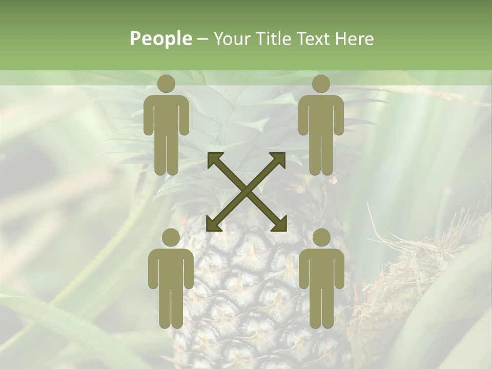 Asia Outdoor Raw PowerPoint Template