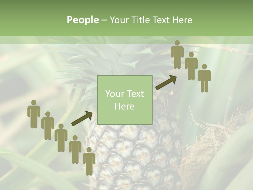 Asia Outdoor Raw PowerPoint Template