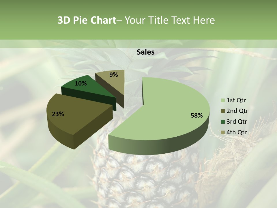 Asia Outdoor Raw PowerPoint Template