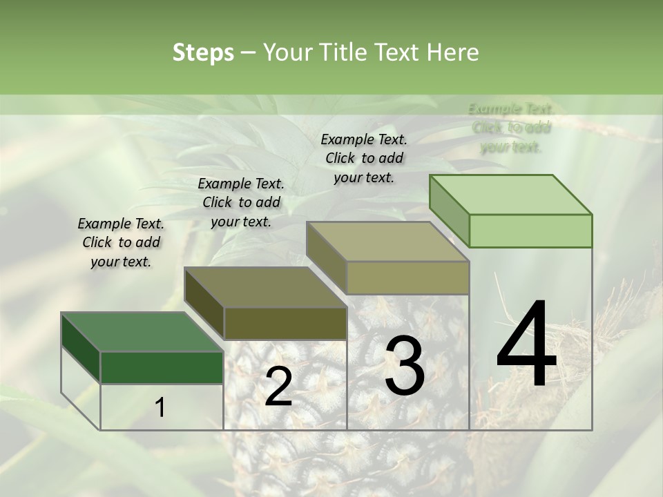Asia Outdoor Raw PowerPoint Template