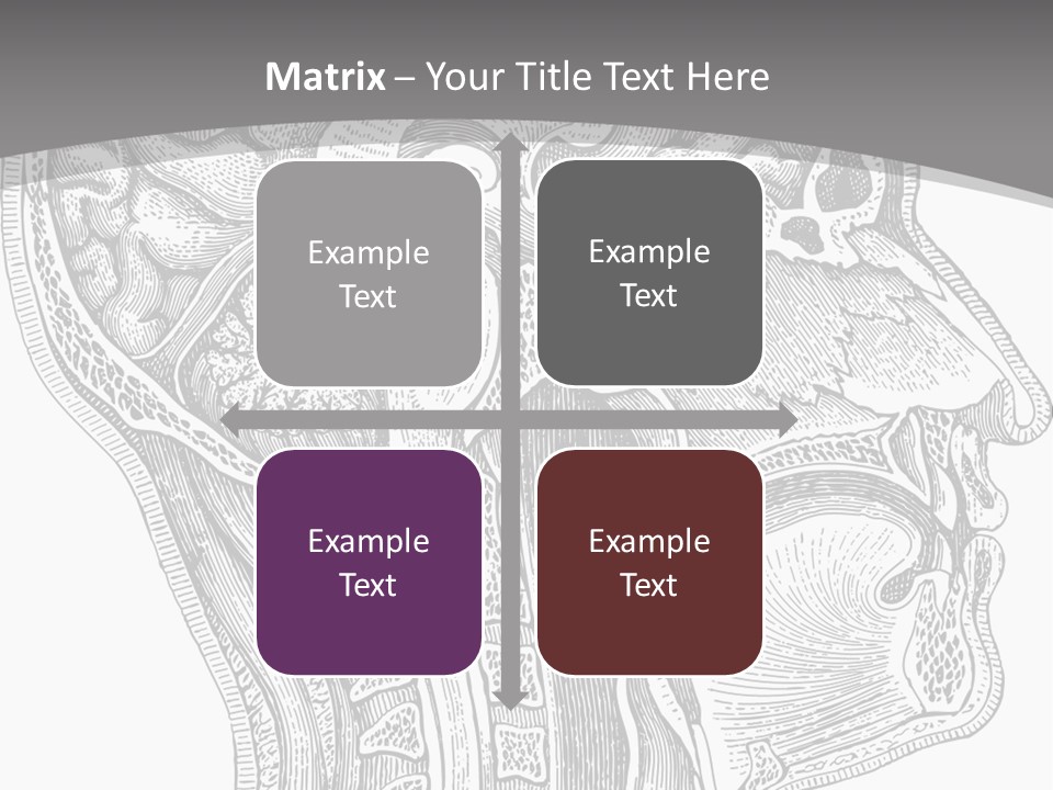 Mental Lobes Vintage PowerPoint Template