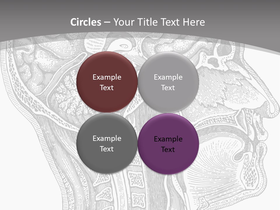 Mental Lobes Vintage PowerPoint Template