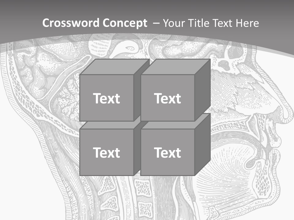 Mental Lobes Vintage PowerPoint Template