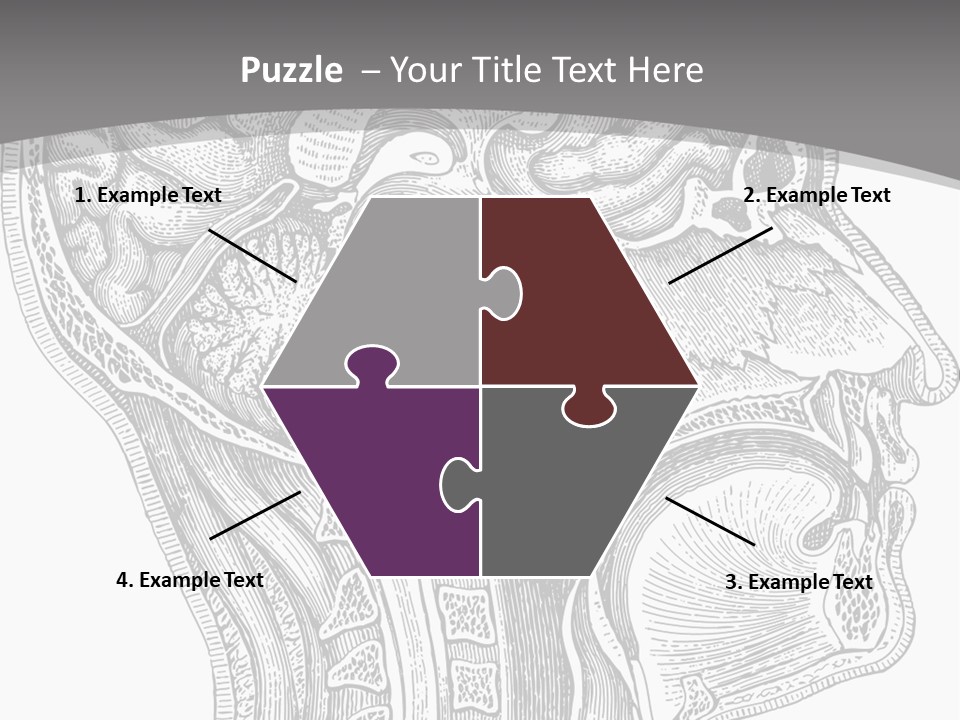 Mental Lobes Vintage PowerPoint Template