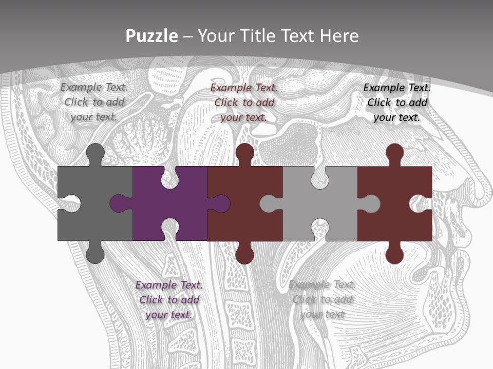 Mental Lobes Vintage PowerPoint Template