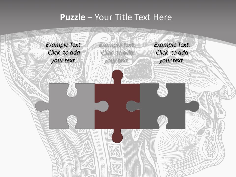 Mental Lobes Vintage PowerPoint Template