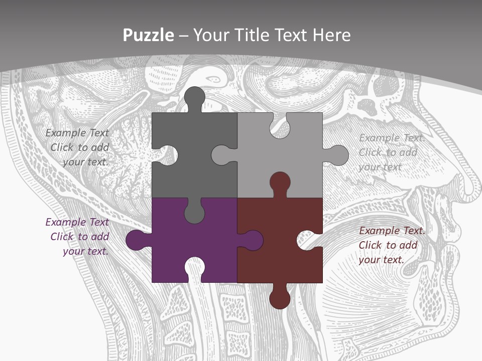 Mental Lobes Vintage PowerPoint Template