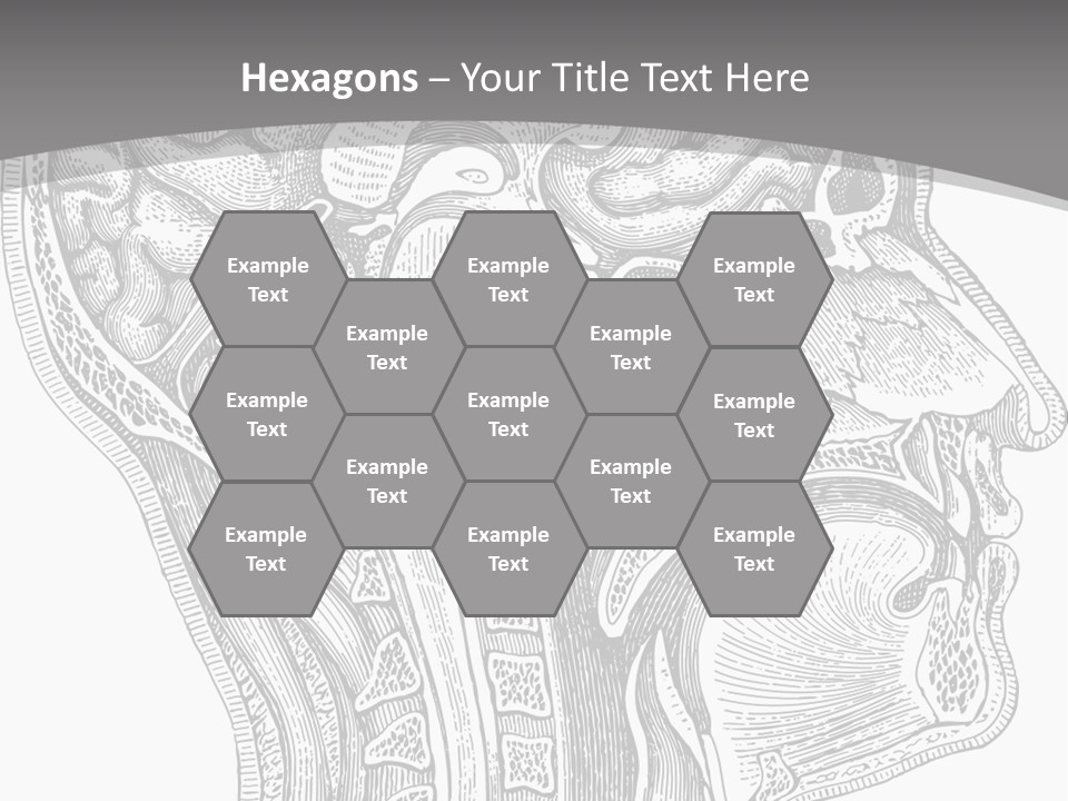 Mental Lobes Vintage PowerPoint Template