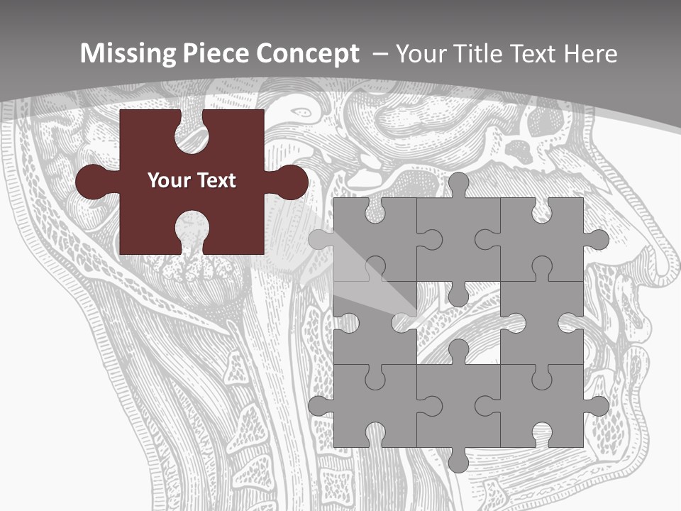 Mental Lobes Vintage PowerPoint Template