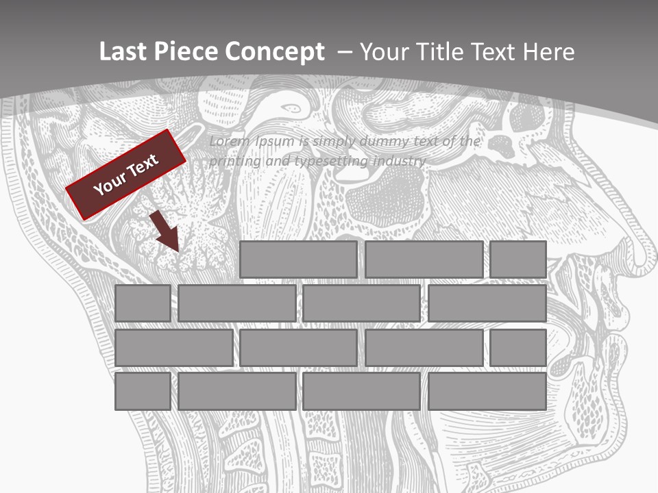 Mental Lobes Vintage PowerPoint Template