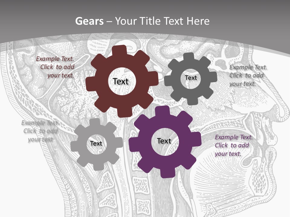 Mental Lobes Vintage PowerPoint Template