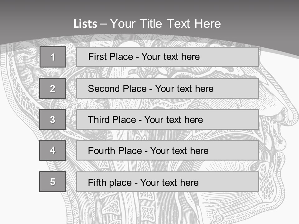 Mental Lobes Vintage PowerPoint Template