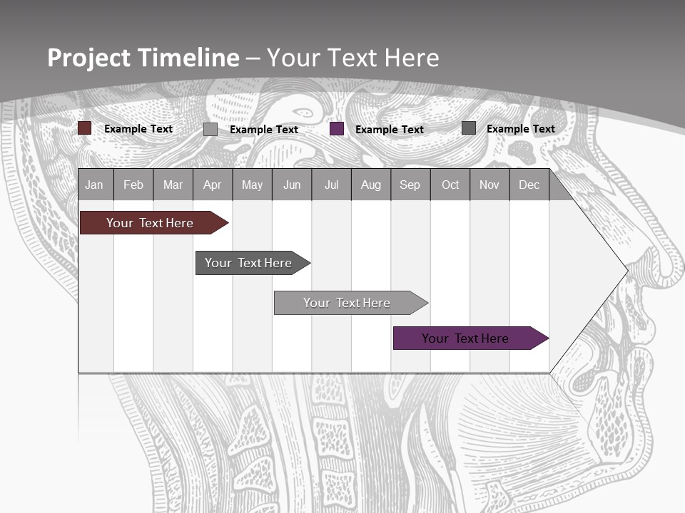 Mental Lobes Vintage PowerPoint Template