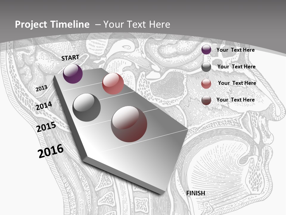Mental Lobes Vintage PowerPoint Template
