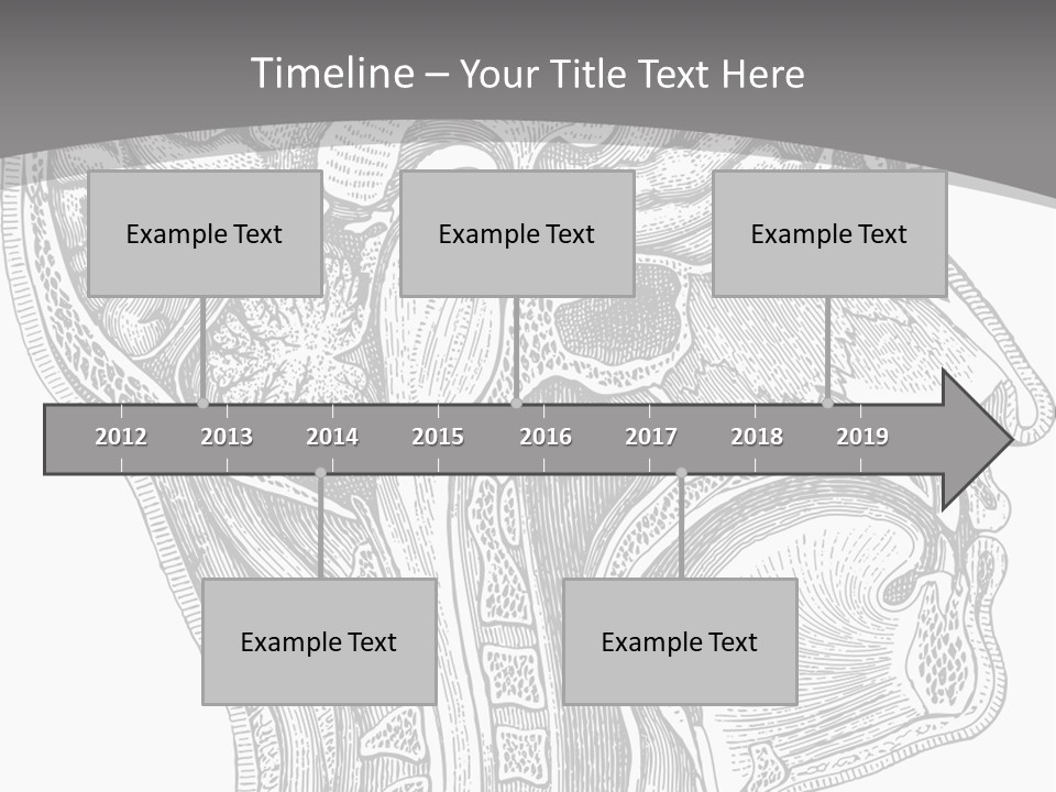 Mental Lobes Vintage PowerPoint Template