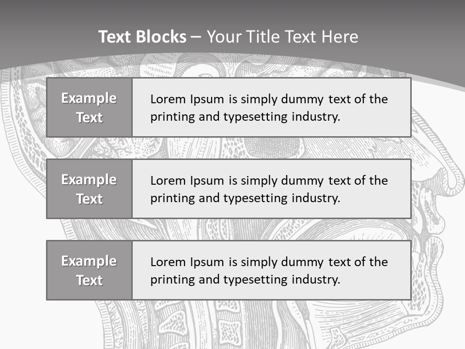 Mental Lobes Vintage PowerPoint Template