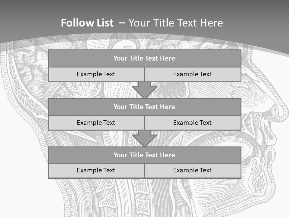 Mental Lobes Vintage PowerPoint Template