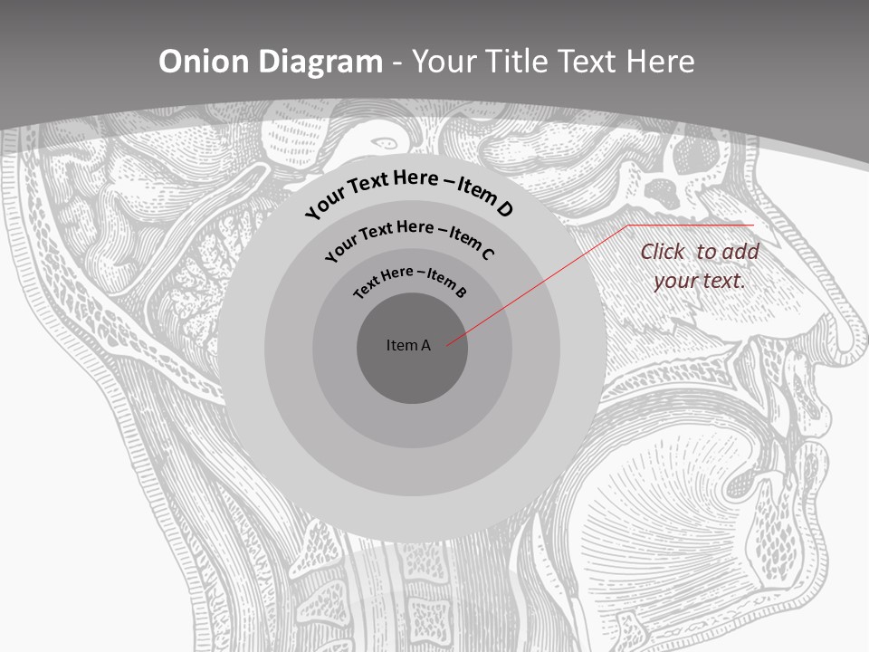 Mental Lobes Vintage PowerPoint Template