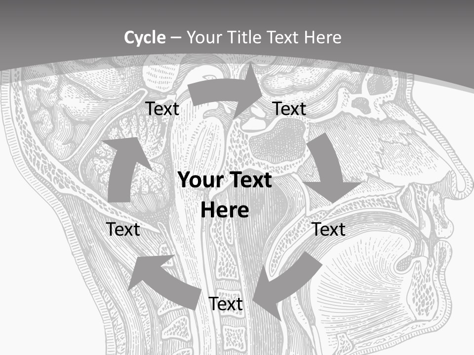 Mental Lobes Vintage PowerPoint Template