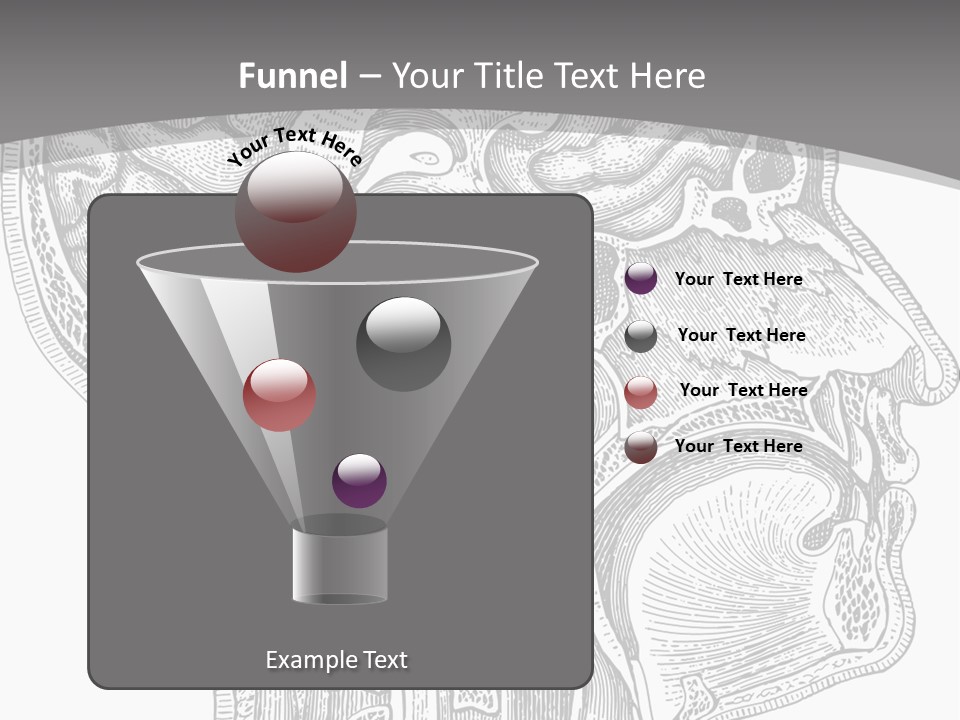 Mental Lobes Vintage PowerPoint Template