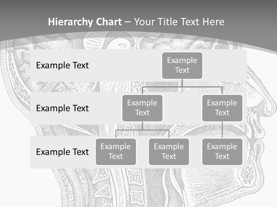 Mental Lobes Vintage PowerPoint Template