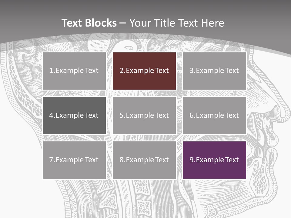 Mental Lobes Vintage PowerPoint Template