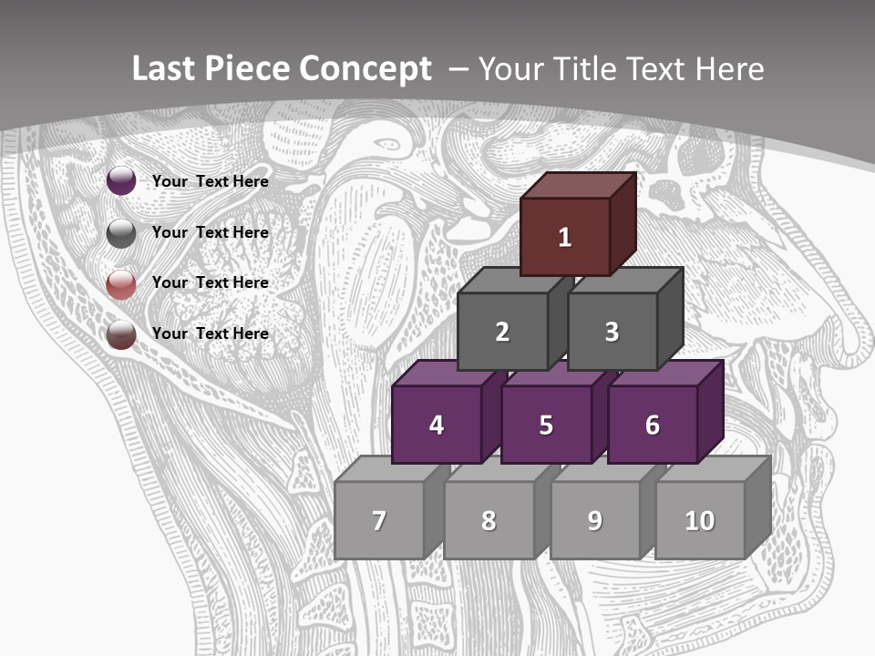 Mental Lobes Vintage PowerPoint Template