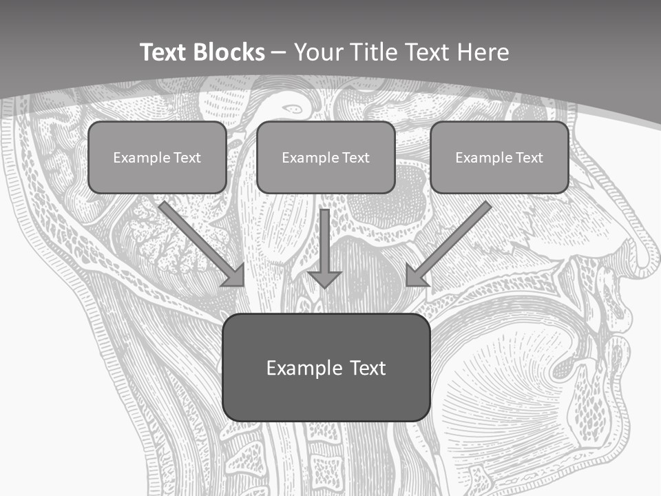 Mental Lobes Vintage PowerPoint Template