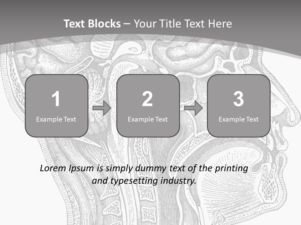 Mental Lobes Vintage PowerPoint Template