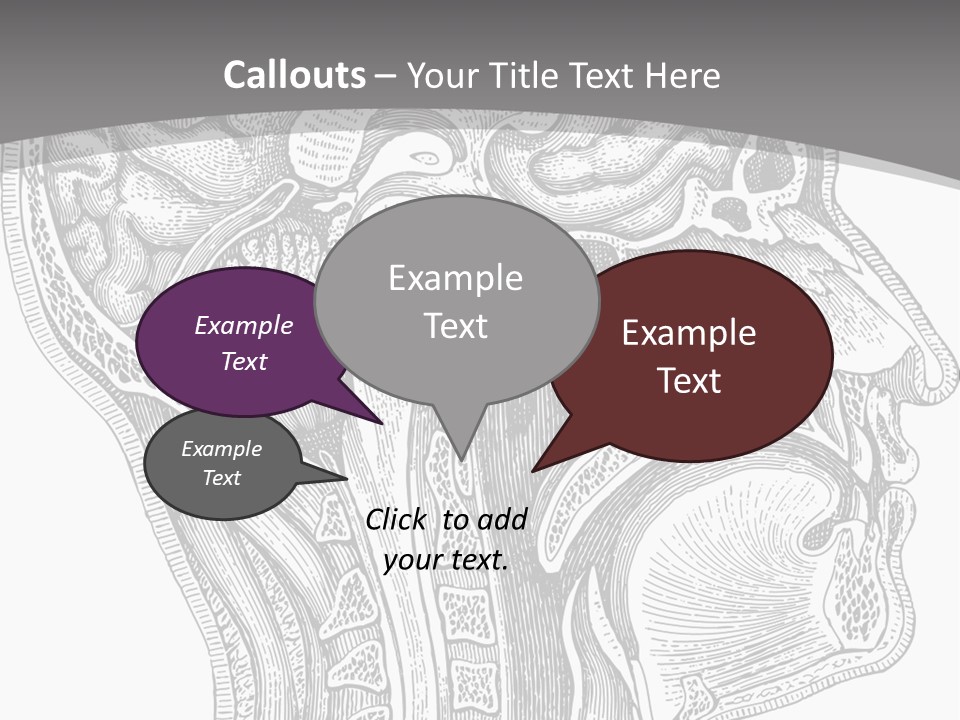 Mental Lobes Vintage PowerPoint Template
