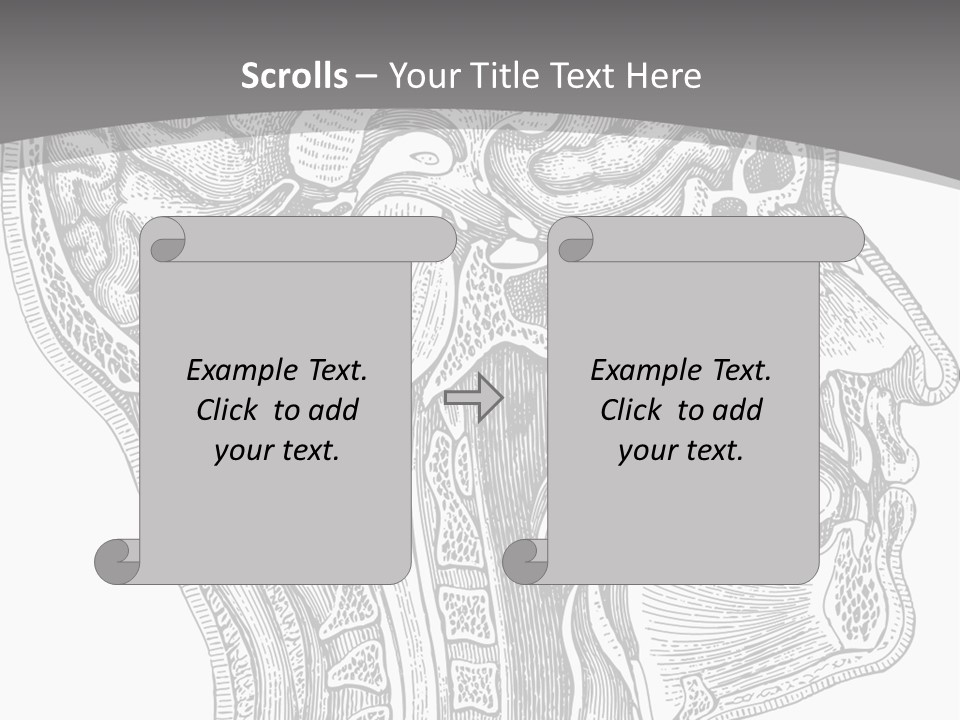 Mental Lobes Vintage PowerPoint Template