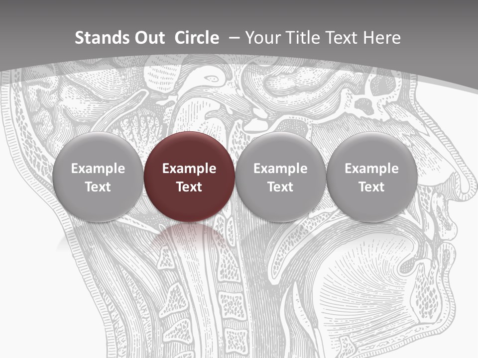 Mental Lobes Vintage PowerPoint Template