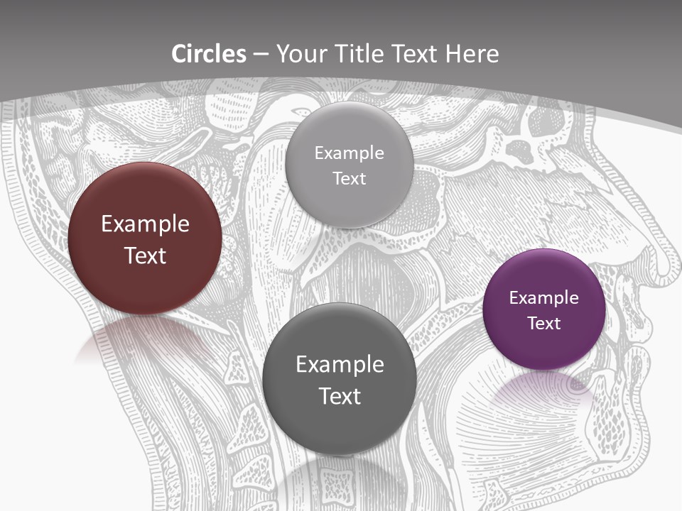 Mental Lobes Vintage PowerPoint Template