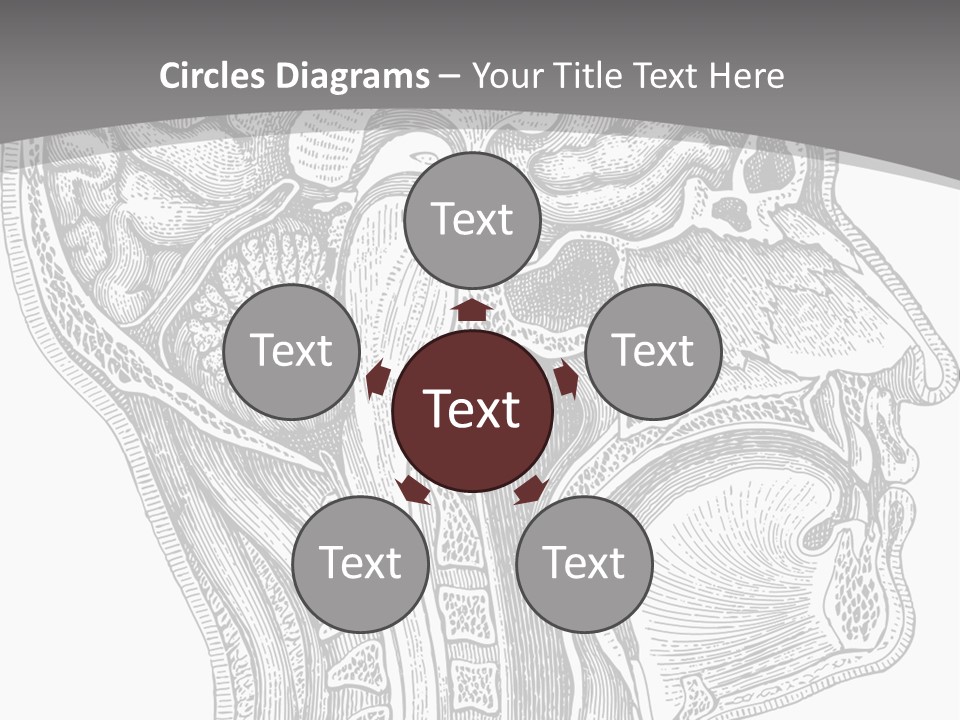 Mental Lobes Vintage PowerPoint Template