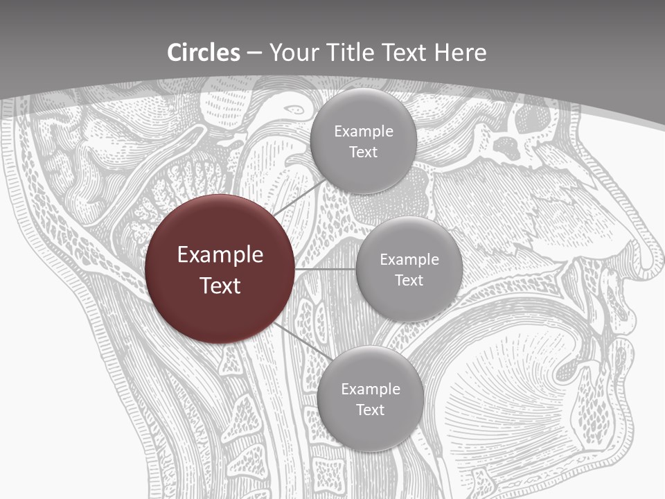 Mental Lobes Vintage PowerPoint Template