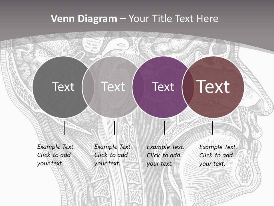 Mental Lobes Vintage PowerPoint Template