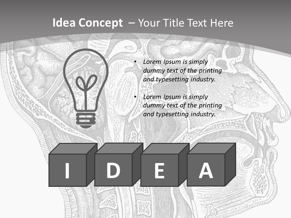 Mental Lobes Vintage PowerPoint Template