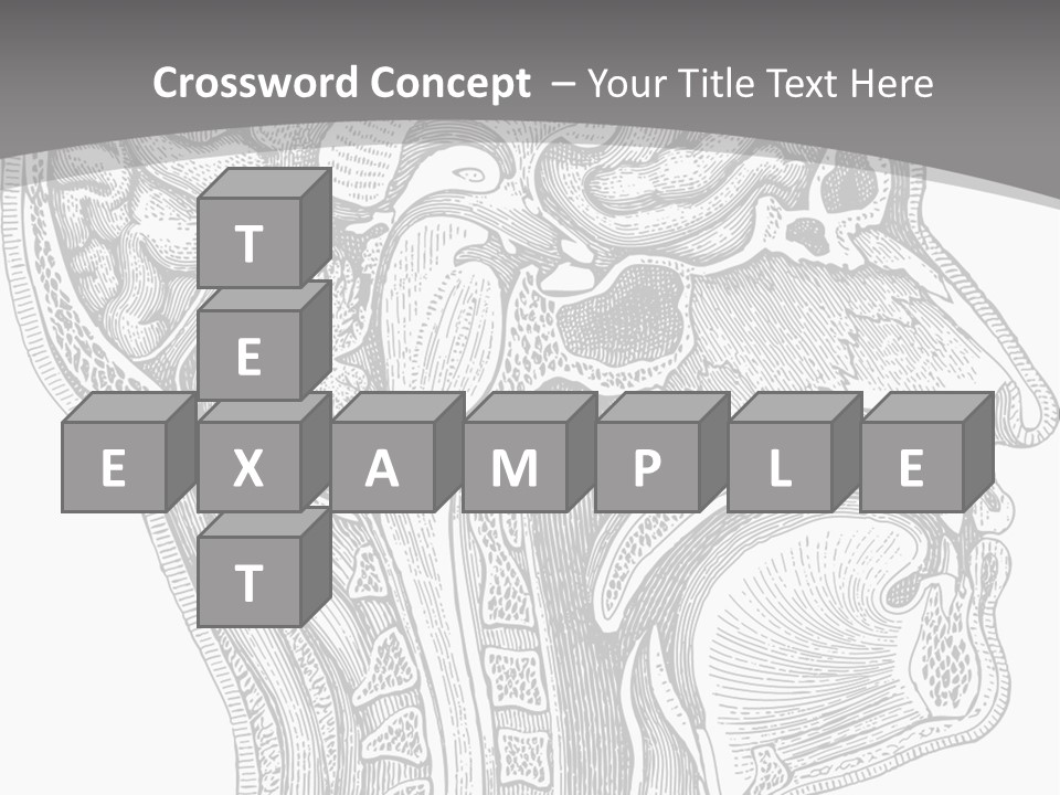 Mental Lobes Vintage PowerPoint Template