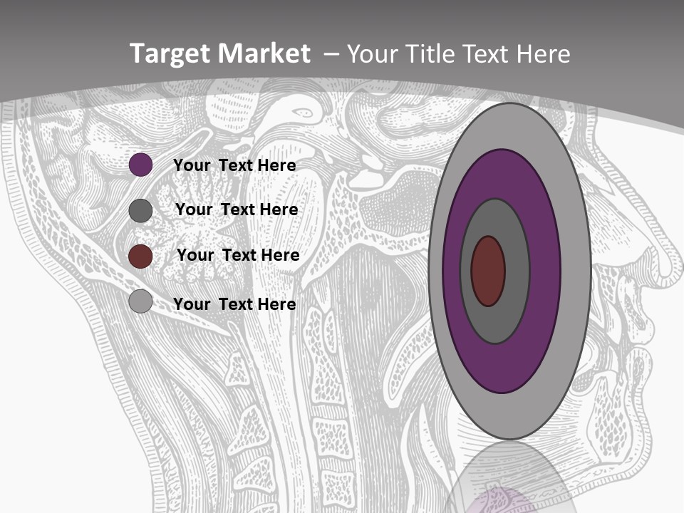 Mental Lobes Vintage PowerPoint Template